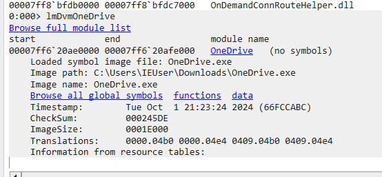 image-20241019220239946