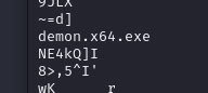 image-20241019224232597