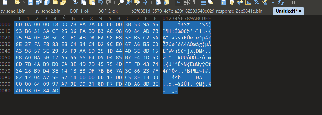 image-20241025114037572